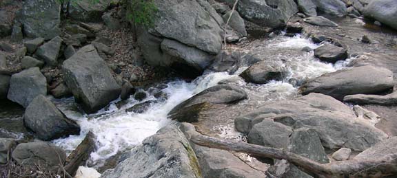 North West Branch