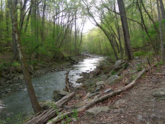 2009-04-25_18-08-20nwbranch.JPG