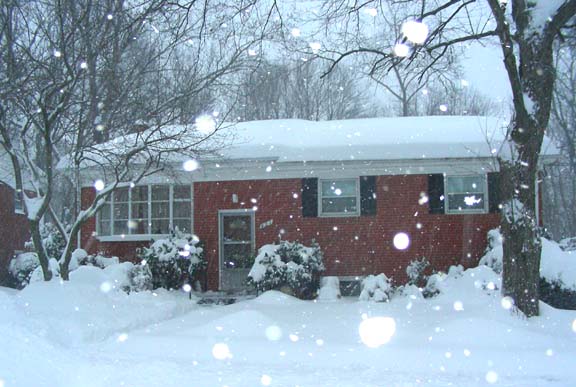 2009-12-19_16-30-42snow8w.JPG