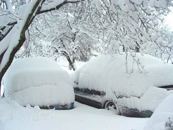 2010-02-06_07-26-26snowOnCarsw.JPG