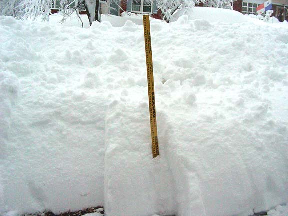 2010-02-06_07-30-33snowRulerw.JPG