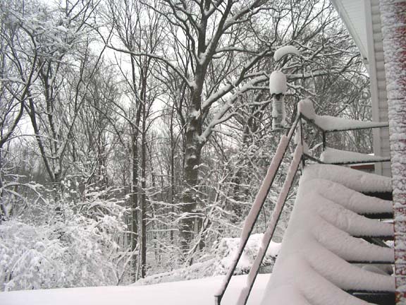 2010-02-06_07-48-04birdfeederw.JPG