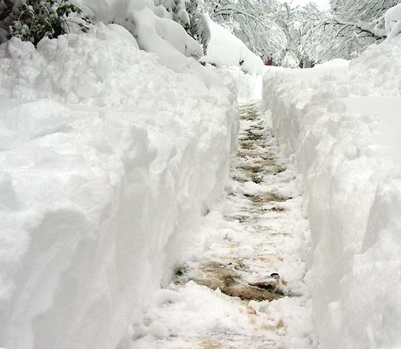 2010-02-06_07-51-20snowpathw.JPG