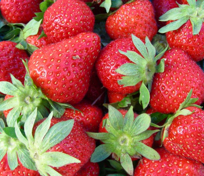2010-06-05_09-46-12strawberriesactualsizew.JPG